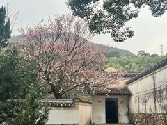 -阿育王寺