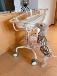 -喜喜月子(瑞虹天地店)