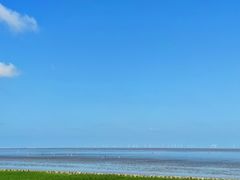 -南汇嘴观海公园