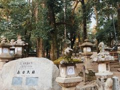 -奈良公园
