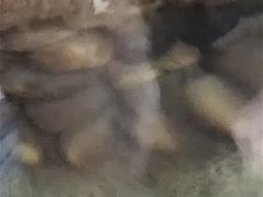 -陆地游轮吉林神农温泉