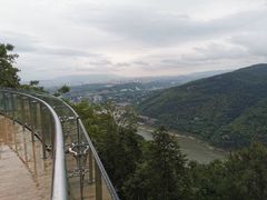 -铁山坪森林公园