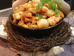 -丁老爷子苏香圆