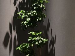 -徐记海鲜(南油永新汇店)