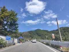 -四明山国家森林公园