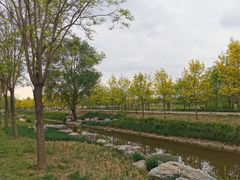 -东郊湿地公园