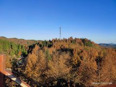 -山王坪喀斯特国家生态公园