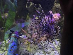 -太平洋海底世界