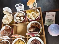 -菌自由丨野生菌火锅特色庭院餐厅(丽江古城店)