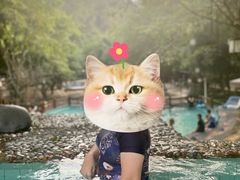 -灵秀温泉