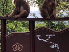 -峨眉山风景名胜区
