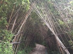 -晋江五店市传统文化旅游区