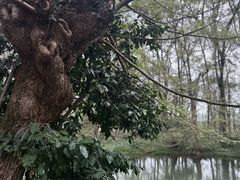 -诗莉莉·厚德堂私房菜