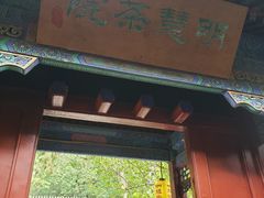 -大觉寺-停车场