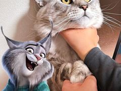 -华谊兄弟影院(IMAX洋桥店)