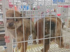 -山东柏宁水族批发广场