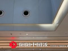 -阳阳中国饭(龙湖大兴天街)