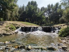 -长白岛森林公园