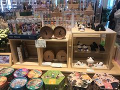 -猫的天空之城概念书店(北戴河蔚蓝海岸店)
