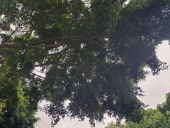 -人民公园(罗湖区)