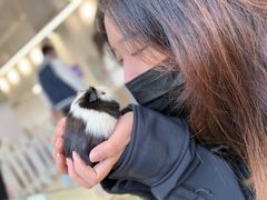 -怪兽屋·羊驼·猫咖·狗咖(俊华广场店)