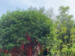 -远山有窑