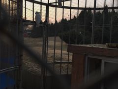 -祥源·阜阳生态乐园