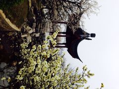 iphone_upload_pic-林屋洞景区