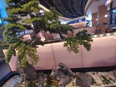 -马家斑.鲜鱼火锅(松湖万科店)