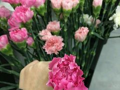 -Butchart布查德鲜花(花艺设计中心)