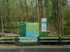 -合肥滨湖国家森林公园