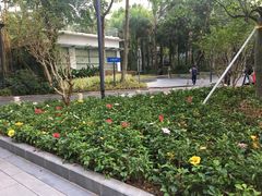 -星巴克(深圳侨城街店)