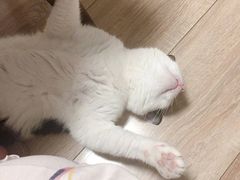 -伍丁·烤牛肋(和平东桥店)