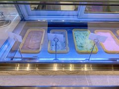 -新发展亚太JW万豪酒店·福苑咖啡厅