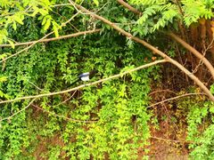 -南山风景名胜区