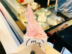 -野人先生现做冰淇淋(西安赛格店)