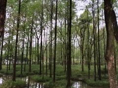 -杭州植物园