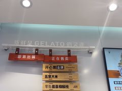 -野人先生现做冰淇淋(西安赛格店)