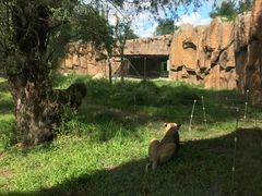 -齐齐哈尔龙沙动植物园