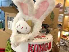 -e嘉宠物店(北大街店)