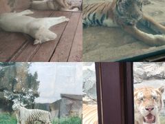 -杭州野生动物世界