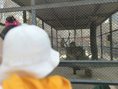 -长白岛森林公园