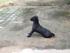 -碓臼峪自然风景区