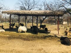 -西安秦岭野生动物园