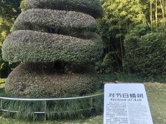 -苏州河梦清园环保主题公园