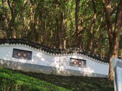 -上海佘山国家森林公园天马山园