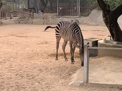 -泉州海丝野生动物世界