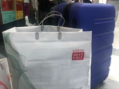-乐天免税店(明洞店)