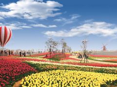 -洪湖湿地生态园