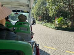 -上海海湾国家森林公园